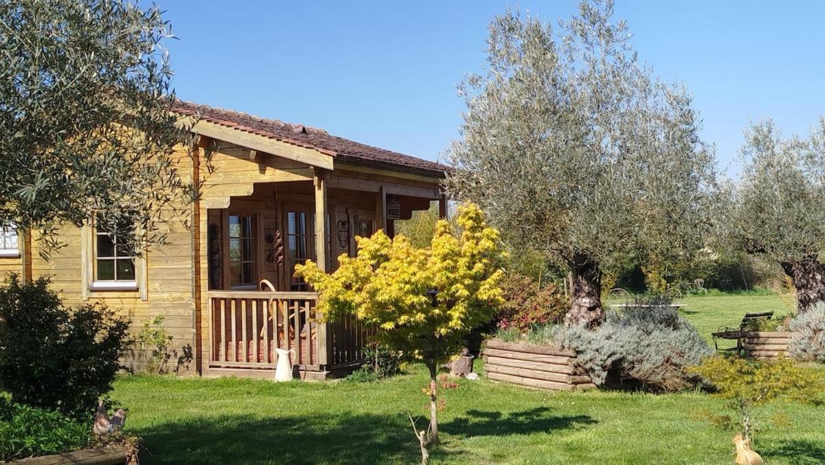 Chalet Bois Pleine Campagne A Pontigny エクステリア 写真