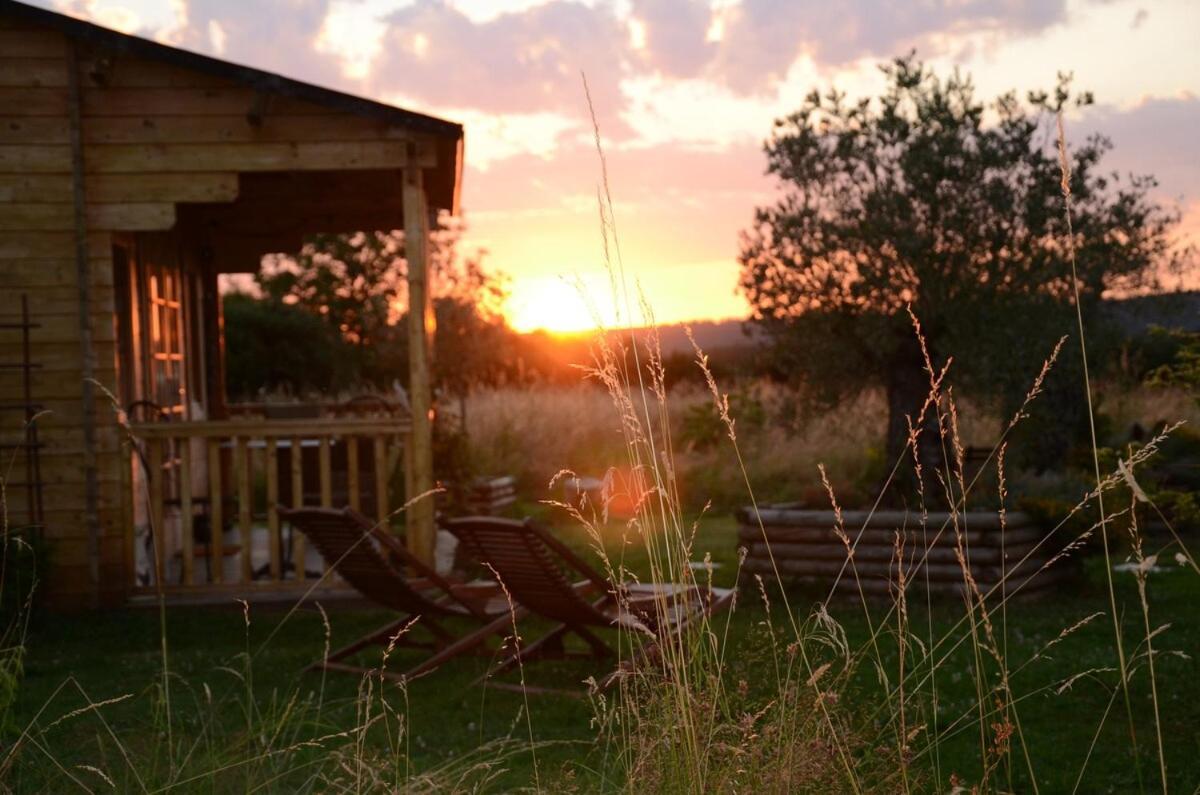 Chalet Bois Pleine Campagne A Pontigny エクステリア 写真