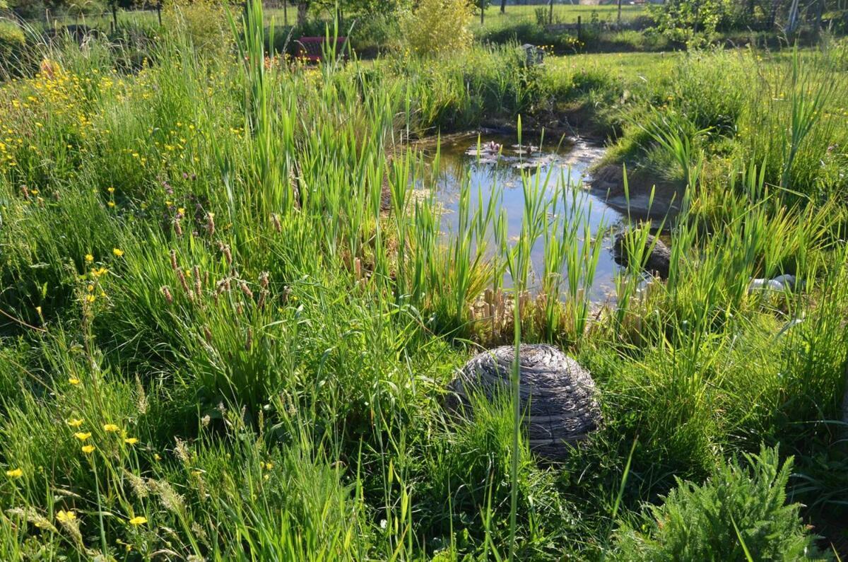 Chalet Bois Pleine Campagne A Pontigny エクステリア 写真