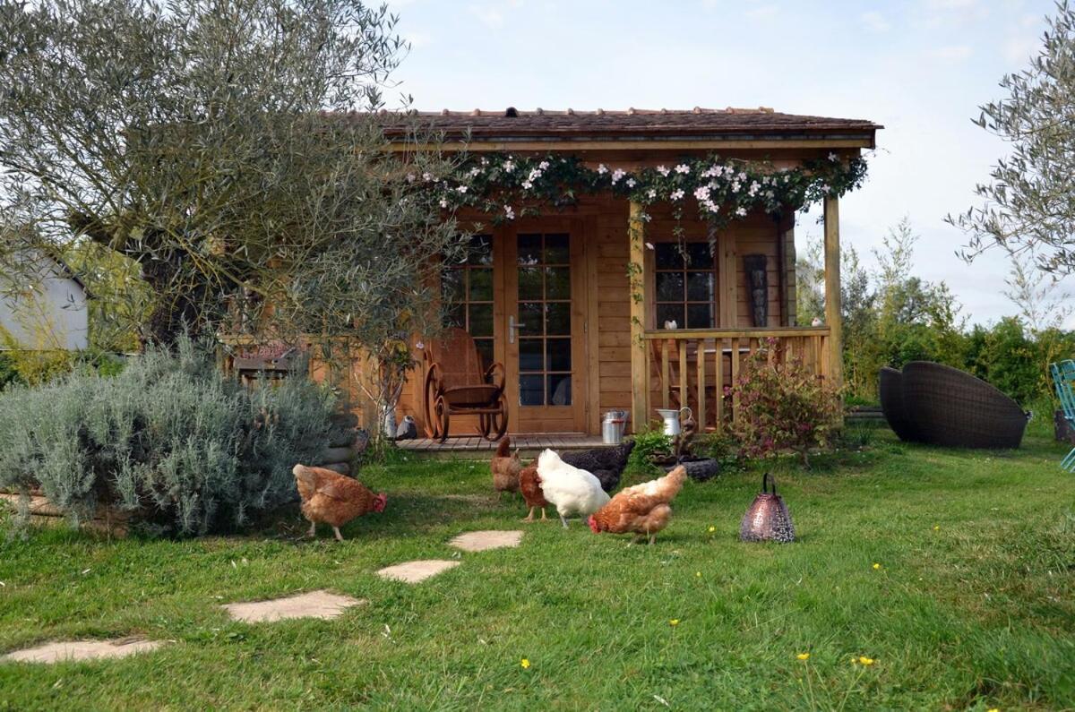 Chalet Bois Pleine Campagne A Pontigny エクステリア 写真